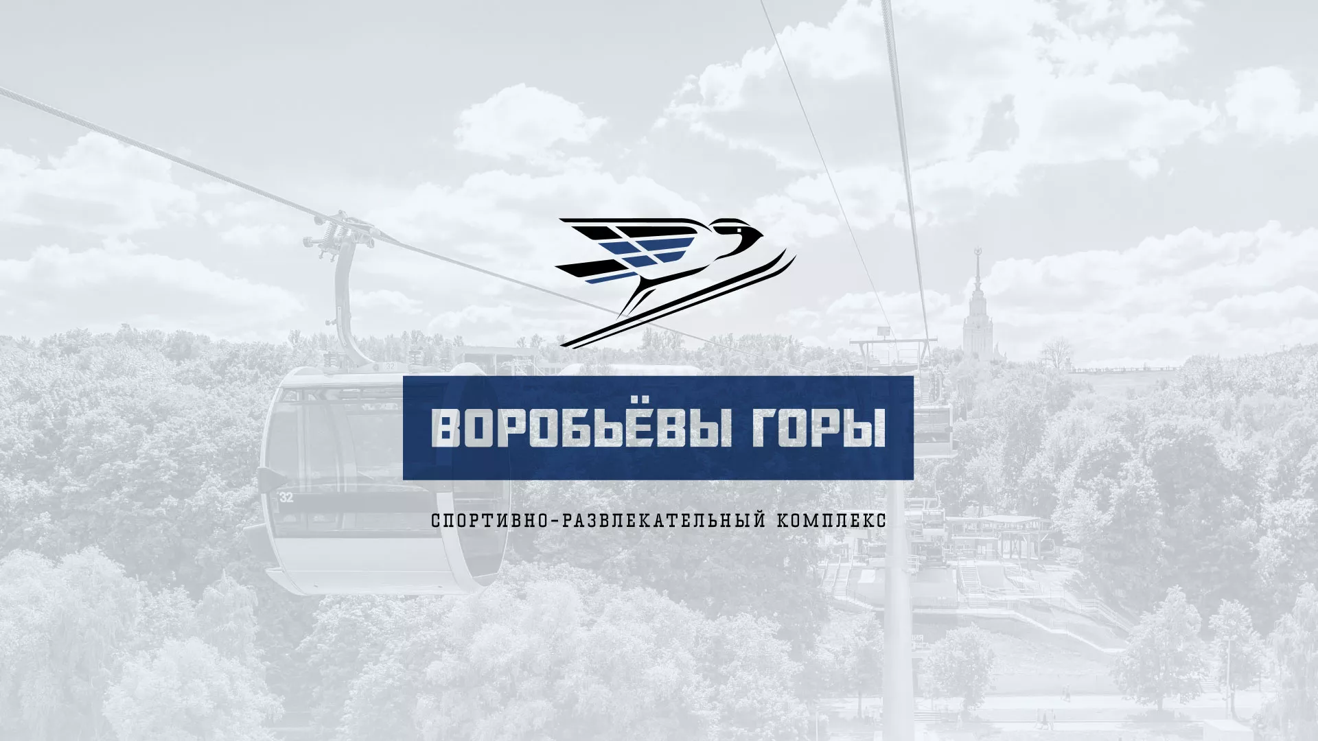 Разработка сайта в Ртищево для спортивно-развлекательного комплекса «Воробьёвы горы»